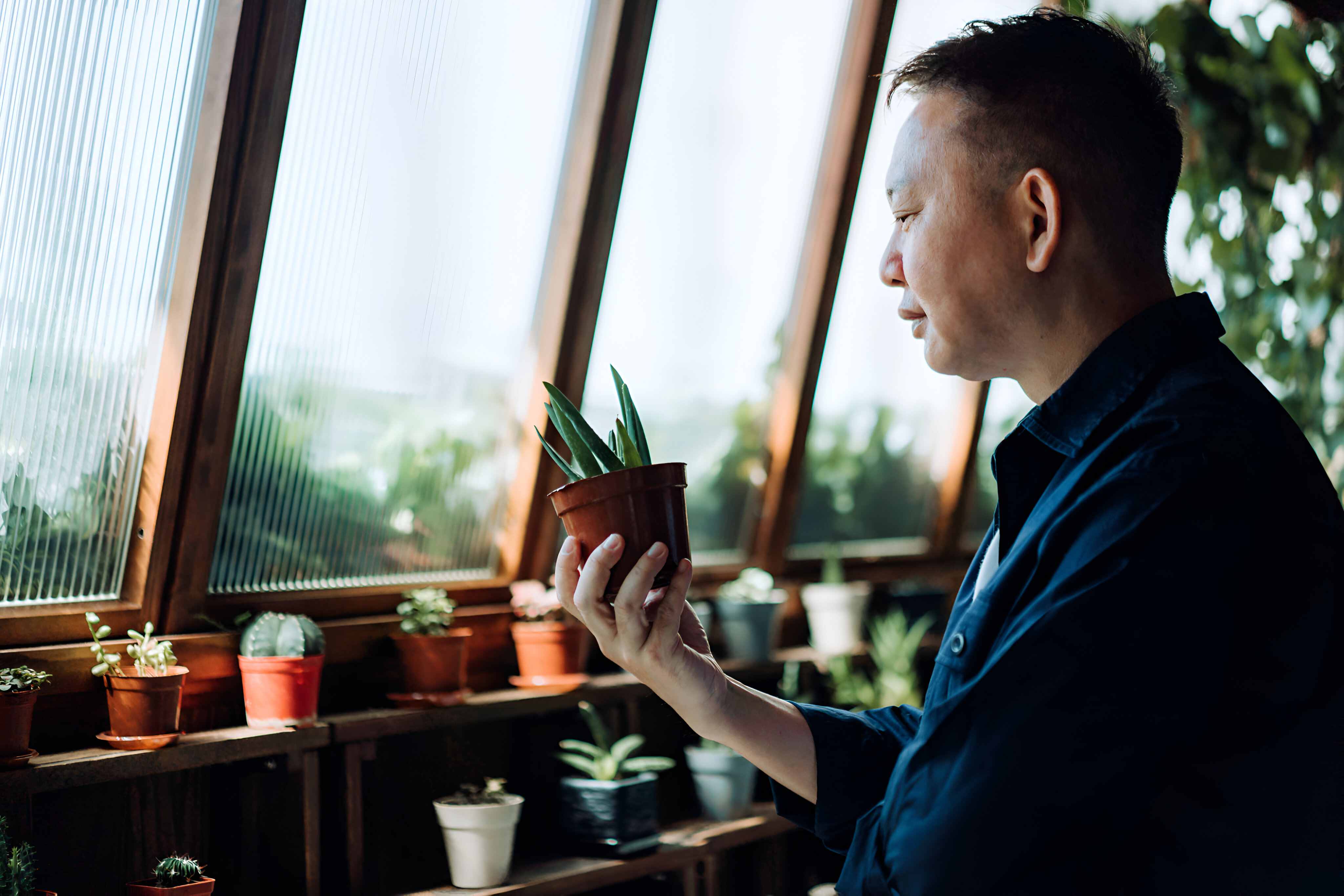 Применение Сюцай в повседневной жизни